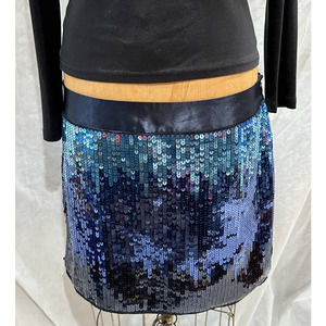 Express Design Studio Sequin Skirtn- Sz 10